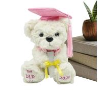 Oso de Graduación - Figurita de Peluche Conmemorativa para Coleccionar | Oso para Graduados Universitarios 2026 - Celebración Jardín Infancia Primaria Secundaria Universidad Chicos Chicas Jóvenes