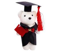 Oso de graduación - Oso de graduación 2025 - Ramo de animales material de manualidades para posición sentada, autógrafo, firma, profesor, estudiante, recuerdo especial