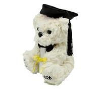 Oso de Graduación,Recuerdo de Graduación en Peluche | Adorable Peluche Promoción 2026 para Graduados | para Celebrar Fin de Curso Infantil Preescolar Primaria Instituto Universidad Estudiantes Niños N