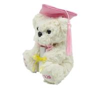 Oso de Peluche de Graduación - Recuerdo de Graduación en Forma de Peluche Suave | Oso de Tierno para la Promoción 2026 - para Celebrar Fin de Curso Infantil Preescolar Primaria Instituto Unive
