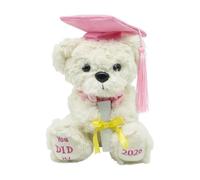 Oso de Peluche de Graduación - Recuerdo de Graduación en Peluche | Adorable Promoción 2026 para Graduados - para Celebrar Fin de Curso Infantil Preescolar Primaria Instituto Universidad Estudi