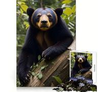 Oso malayo en el Bosque, Rompecabezas de 1000 Piezas para Adultos, Regalo Ideal para ejercitar la Mente, Juguete artístico para Relajarse, Regalo Memorable 38x52cm