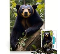 Oso malayo en el Bosque, Rompecabezas de 1000 Piezas para Adultos, Regalo Ideal para ejercitar la Mente, Juguete artístico para Relajarse, Regalo Memorable 38x52cm