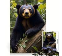 Oso malayo en el Bosque, Rompecabezas de 1000 Piezas para Adultos, Regalo para ejercitar la Mente, Juguete para Relajarse, Arte para armar, Regalo Memorable 38x26cm
