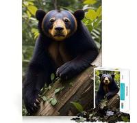 Oso malayo en el Bosque, Rompecabezas de 1000 Piezas para Adultos, Regalo para ejercitar la Mente, Juguete para Relajarse, Arte para armar, Regalo Memorable 38x26cm