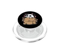 Oso Panda en Caja de cartón PopSockets PopGrip para MagSafe
