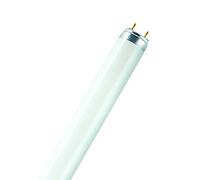 Osram 024427 Bombilla LED G13, 19.1 W, Blanco, 10 Unidades