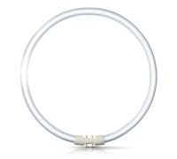 Osram FC40w/T5 - T5 Circular tubo 40W - color blanco cálido - 830 - GX13 tapa