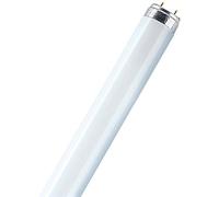 Radium Lampenwerk - Tubo fluorescente (NL-T8 30W/865/G13)