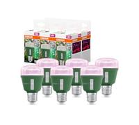 OSRAM LED Star Grow Lamp T 60 10W Clear E27 | , LED Lamps, 60.00 Millimetres dia, 25000 Hours, Paquete de 1