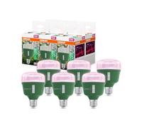 OSRAM LED Star Grow Lamp T 80 20W Clear E27 | , LED Lamps, 80.00 Millimetres dia, 25000 Hours, Paquete de 1