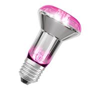 OSRAM Lámpara LED Star para plantas filamento y 7,5 W / 140 lm, casquillo E27, con luz blanca cálida a 1300 Kelvin que permite que las plantas prosperen. No es regulable y mide 63 mm de alto.