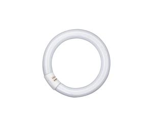 Osram Leuchtstofflampe T9 L 40W 840 C 4000K G10q 4050300014845