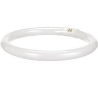 Osram LUMILUX lámpara fluorescente 32 W G10q Blanco frío