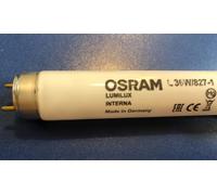 OSRAM LUMILUX INTERNA L 36W/827-1 Lámpara Fluorescente 1 Metro