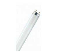 Osram L 18 W/840 lámpara fluorescente G13 Blanco frío