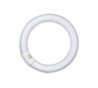 Osram LUMILUX T9 C 32 W-865 G10Q 4008321581167
