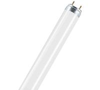 Osram Natura T8 - Lámpara fluorescente, G13L 18 W/76