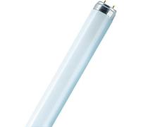 Osram - Tubo St8-Hv5-200 22W/865 230V