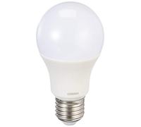 Osram Value Classic A 40 - Bombilla LED (220-240 V, 6 W, 6500 K, e27, 40 W)