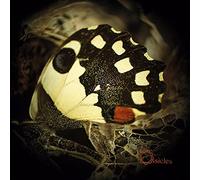 Ossicles - Music For Wastelands [Vinilo]