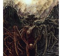Ossuary Insane – Demonize The Flesh – Vinilo