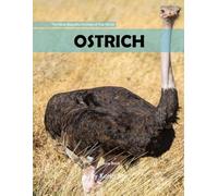 Ostrich: A perfect Coffee Table Picture Book - For Bird Watchers and Nature Enthusiasts .