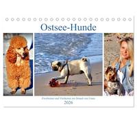 Ostsee-Hunde - Zweibeiner und Vierbeiner am Strand von Cranz (Tischkalender 2026 DIN A5 quer), CALVENDO Monatskalender: Große und kleine Hunde im Ostseebad Cranz/Selenogradsk