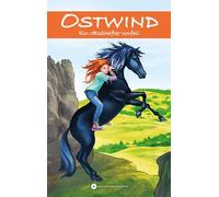 OSTWIND - Ein rätselhafter Unfall: 1