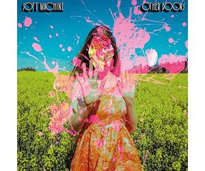 Other Doors/Vinyle r