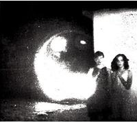 Other Lives - Tamer Animals [Vinilo]