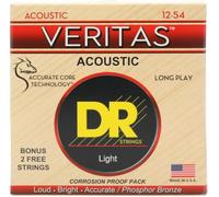 Other VERITAS Accordion Accessory (VTA-12)