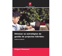 Otimizar as estratégias de gestão de projectos híbridos:: Gestão de projectos