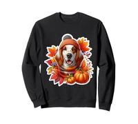 Otoño Otoño Inglés Setter Perro Dueño Amante Cal Sudadera