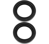 OTOTEC Paquete de 2 sellos de aceite de eje de caja de cambios para quitanieves TC NBR 0.875 x 1.265 x 0.219, repuesto OEM 253-149 compatible con Toro