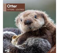 Otter Broschürenkalender 2026 - 30x30 - Art12 | Niedlicher Tier-Kalender im schlanken Hochformat (aufgeklappt 30x60 cm) | mit Eintrage-Kalendarium