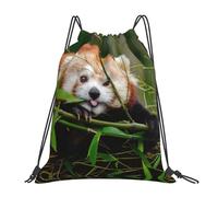OTTKGGA Little Red Panda - Mochilas con cordón, impermeables, para natación, gimnasio, gran capacidad, ligeras, viajes, playa, White, One Size, Casual