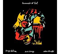 Ottonello, Mateo / Henry Solomon / David Binney - Buscando El Sol [Vinyl LP]