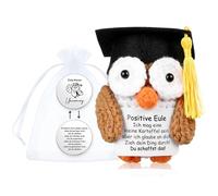 Otuuz Muñeco Búho Positivo y Amuleto de Suerte de Pequeño Abrazo Regalo de du Schaffst Das Muñeco de Búho de Lana Tejido Creativo Amuleto de Suerte de Examen Abrazo de Bolsillo Aliento Animador