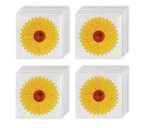 OUDQFCJ 20 Hojas Trampa para Moscas de la Ventana y de la Fruta, Incluye Cebo para Ventanas para prevenir eficazmente Las Moscas de Interiores, Trampa para Moscas y Mosquitos