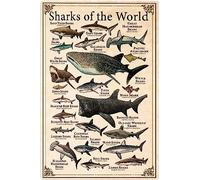 Oudrspo Cartel vintage de aluminio con información sobre tiburones del mundo, tipo de tiburón, conocimiento científico, letrero de metal de 8 x 6 pulgadas, decoración de pared