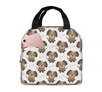 Oudrspo Lonchera divertida con diseño de perros y huesos, bolsa térmica reutilizable para el almuerzo, bolsa térmica de moda con cremallera, 22 * 20 * 13 cm.