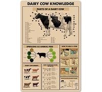 Oudrspo Póster vintage de conocimiento sobre vacas lecheras, guía para pastores de vacas lecheras, tienda de mascotas, granja, metal, aluminio, 20 x 30 cm, decoración de pared