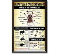 Oudrspo Tarantulas Care Knowledge Metal Sign Vintage Farm Decor Parts Of Taratulas Retro Tin Poster Hogar Cocina Dormitorio Bar Decoración de Pared Placa 8x12 pulgadas