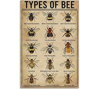 Oudrspo Tipos de abejas, anatomía de la oreja, carteles metálicos, infografías, carteles de lectura, placas de anatomía de la oreja, decoración de pared para oficina, clínica, habitación, 30 x 40 cm