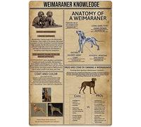 Oudrspo Weimaraner Knowledge Metal Tin Signs Retro Weimaraner Infografías Posters Perro Enciclopedia Guía Placas Sala Perrera Decoración de la pared del hogar 12x16 pulgadas