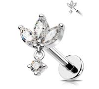 OUFER 16G Piercing Helix Acero Quirúrgico 316L Threadless Push-in Piercing Conch 6/8 mm Piercing Oído Cartílago Claro CZ Tragus Piercing Schmuck Bijoux Helix, 16G6mm, Acero inoxidable, Circonia cúbica