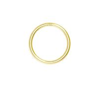 OUFER Body Piercing Nose Ring Hoop 20G Nose Ring Hinged Segment Helix Lip Rings Thin Nose Hoop Piercing Gold Cartilage Daith Rook Tragus Conch Earrings Jewellery