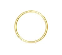 OUFER Body Piercing Nose Ring Hoop 20G Nose Ring Hinged Segment Helix Lip Rings Thin Nose Hoop Piercing Gold Cartilage Daith Rook Tragus Conch Earrings Jewellery