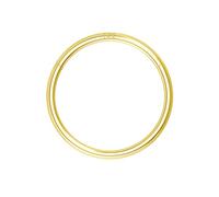 OUFER Body Piercing Nose Ring Hoop 20G Nose Ring Hinged Segment Helix Lip Rings Thin Nose Hoop Piercing Gold Cartilage Daith Rook Tragus Conch Earrings Jewellery
